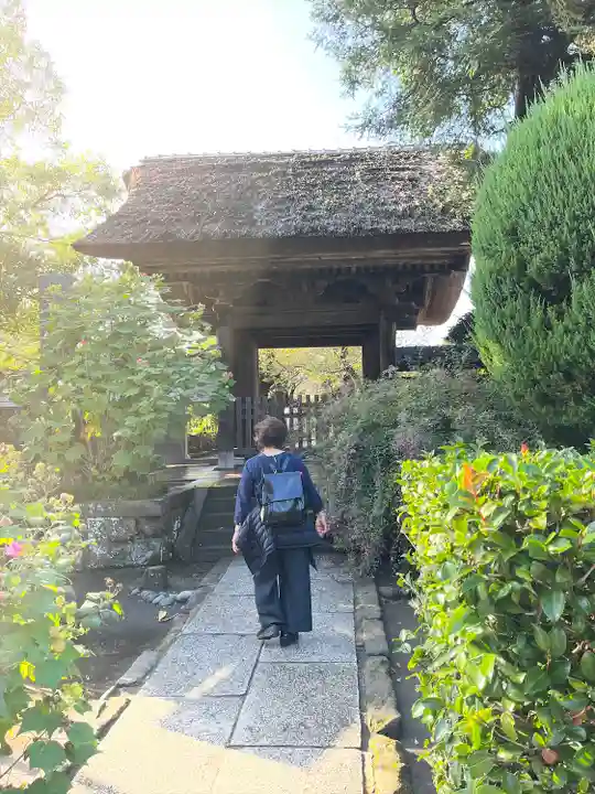 極楽寺(霊鷲山感應院極楽律寺)の山門・神門