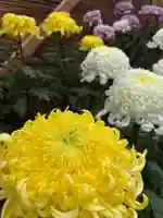 常陸國總社宮(茨城県)