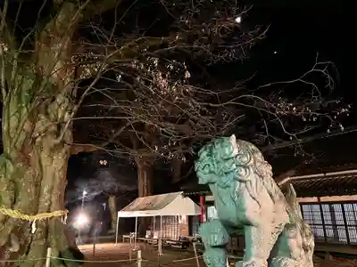 白鳥神社の狛犬