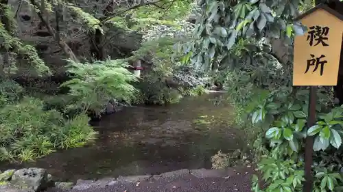富士山本宮浅間大社(静岡県)