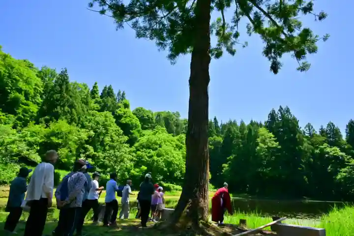郡殿の池弁財天社(新潟県)