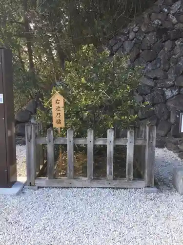 武田神社の庭園