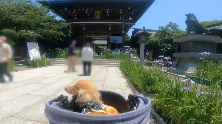 宮地嶽神社(福岡県)