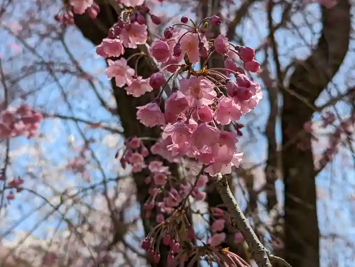 龍安寺(京都府)