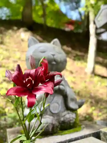 法蔵寺(長野県)