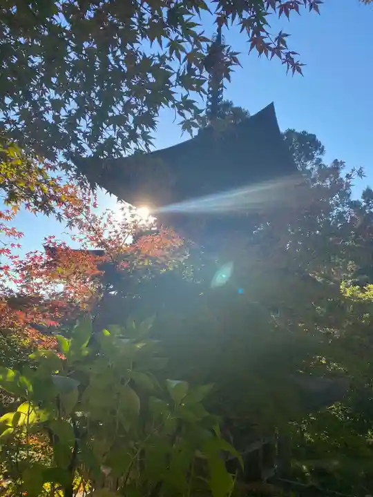 国宝 大法寺のその他建物