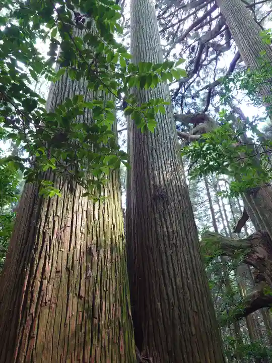 幣立神宮(熊本県)