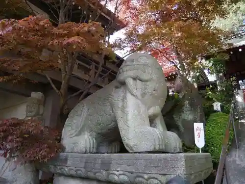 善養寺（善養密寺）の狛犬