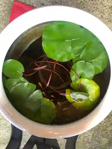 徳島眉山天神社のその他建物