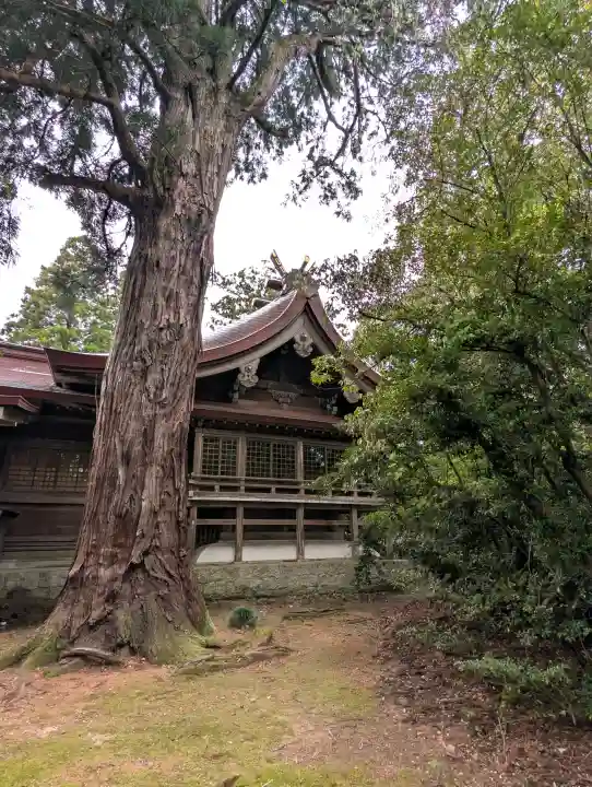 越中一宮 髙瀬神社の{uncategorized: "未分類", other: "その他", undefined: "問題あり", building: "その他建物", grave: "お墓", sacred_gate: "鳥居", guardian: "狛犬", statue: "像", buddha: "仏像", history: "歴史", nature: "自然", garden: "庭園", animal: "動物", pagoda: "塔", temizu: "手水舎", mountain_gate: "山門・神門", sanctuary: "本殿・本堂", subordinate: "末社・摂社", art: "芸術", scenery: "景色", jizo: "地蔵", ema: "絵馬", goshuin: "御朱印", omikuji: "おみくじ", items: "授与品その他", amulet: "お守り", goshuincho: "御朱印帳", eats: "食事", festival: "お祭り", votive_dance: "神楽", shichigosan: "七五三参", wedding: "結婚式", experience: "体験その他", initially: "初詣", around: "周辺", anti_infection: "感染症対策"}
