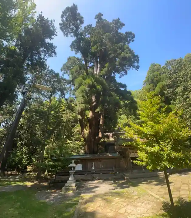 若狭姫神社(若狭彦神社下社)(福井県)