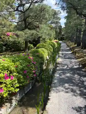 城南宮(京都府)