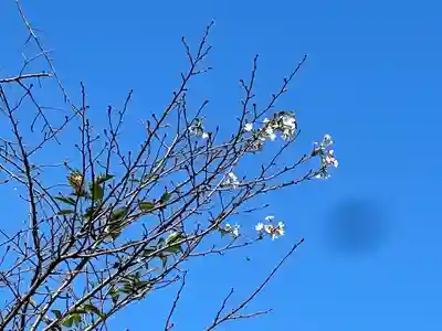 手力雄神社(岐阜県)
