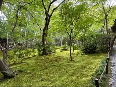 祇王寺(京都府)