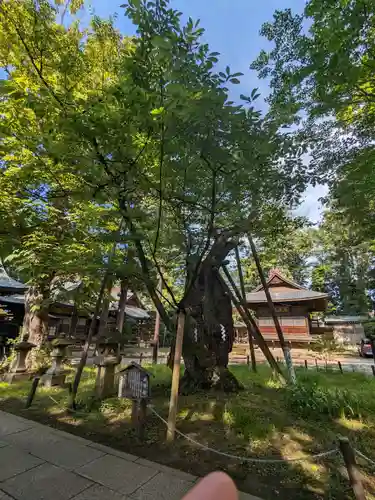 蠶養國神社(福島県)