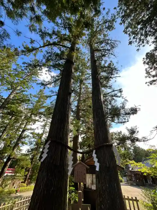大崎八幡宮(宮城県)