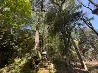 八幡宮(福井県)