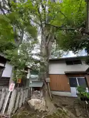 御霊神社(京都府)