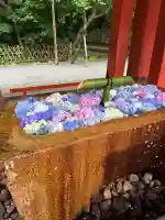 鶴岡八幡宮(神奈川県)