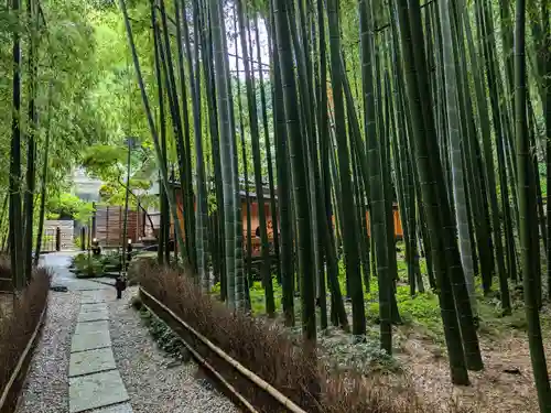 報国寺(神奈川県)