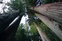 鹿島大神宮の自然