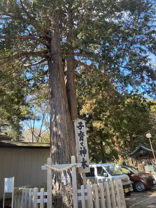 新倉富士浅間神社の自然