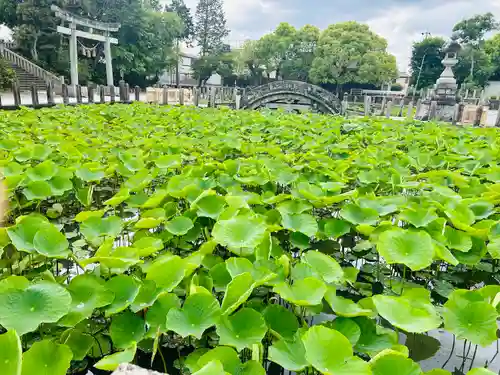 伊賀八幡宮(愛知県)