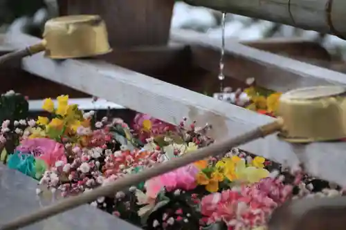 豊景神社の手水