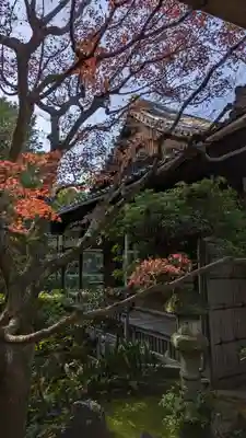 桂春院(京都府)