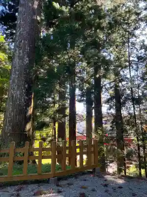 須山浅間神社のその他建物