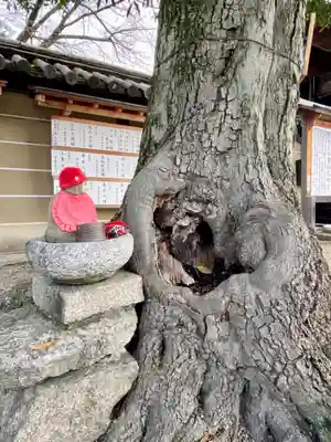 東寺（教王護国寺）(京都府)