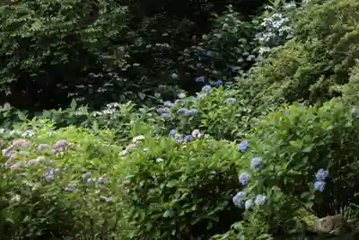 長壽寺（長寿寺）(神奈川県)