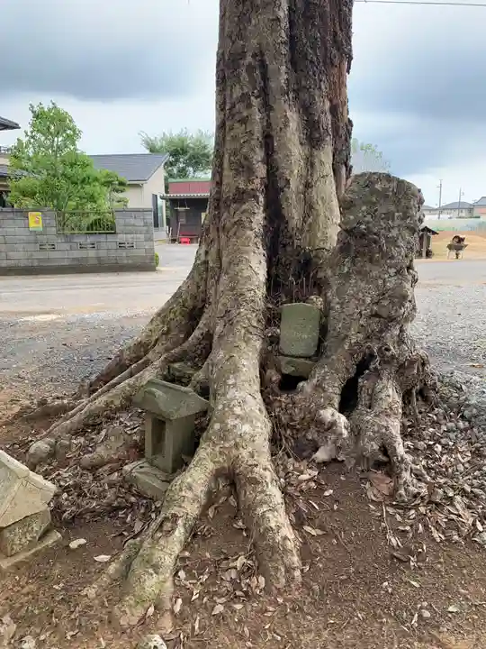 大宮大神社(千葉県)