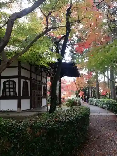 真正極楽寺（真如堂）のその他建物