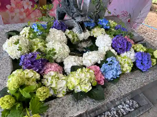 札幌諏訪神社の手水舎