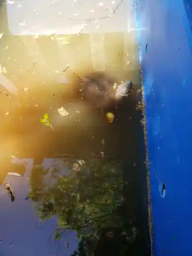 下谷神社(東京都)