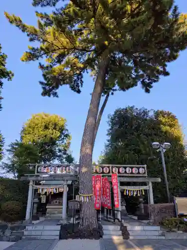 中野沼袋氷川神社(東京都)
