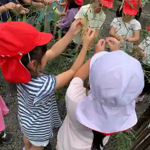 豊景神社の体験その他(2021年07月07日(水) 06時25分16秒投稿)