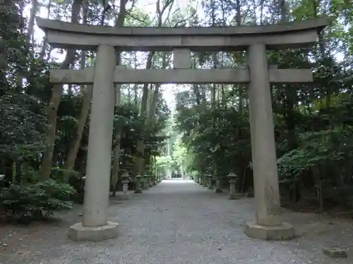 御上神社の鳥居