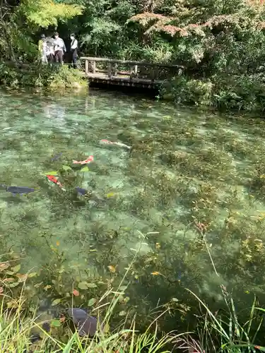 根道神社(岐阜県)