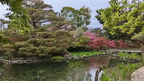 梅宮大社の庭園