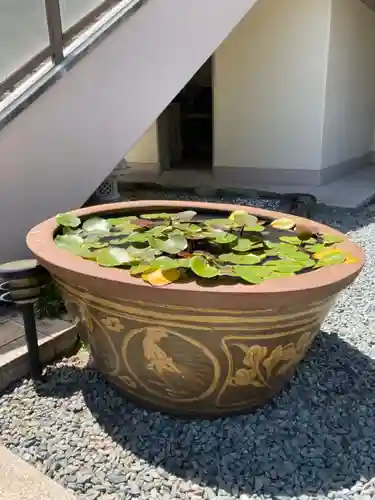 観音寺のその他建物