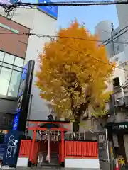 歯神社の自然