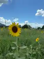 安久津八幡神社(山形県)