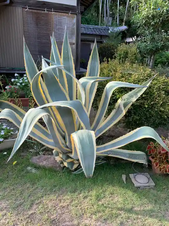 密蔵院(三重県)