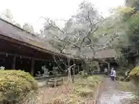 吉野水分神社(吉野町)の本殿・本堂