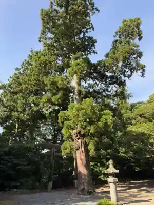 鳥海山大物忌神社吹浦口ノ宮(山形県)