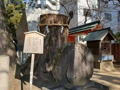 生田神社の自然