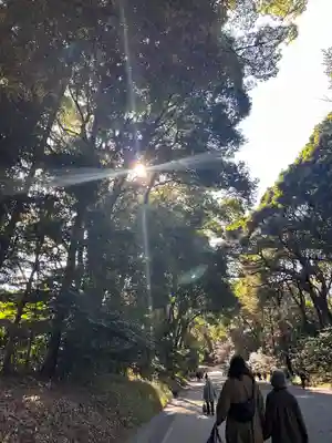 明治神宮(東京都)