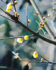 浄土寺(兵庫県)(2024年01月23日(火) 11時26分17秒投稿)